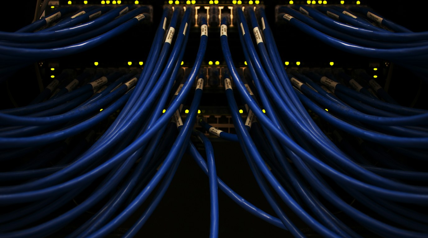 Blue network cables connected together